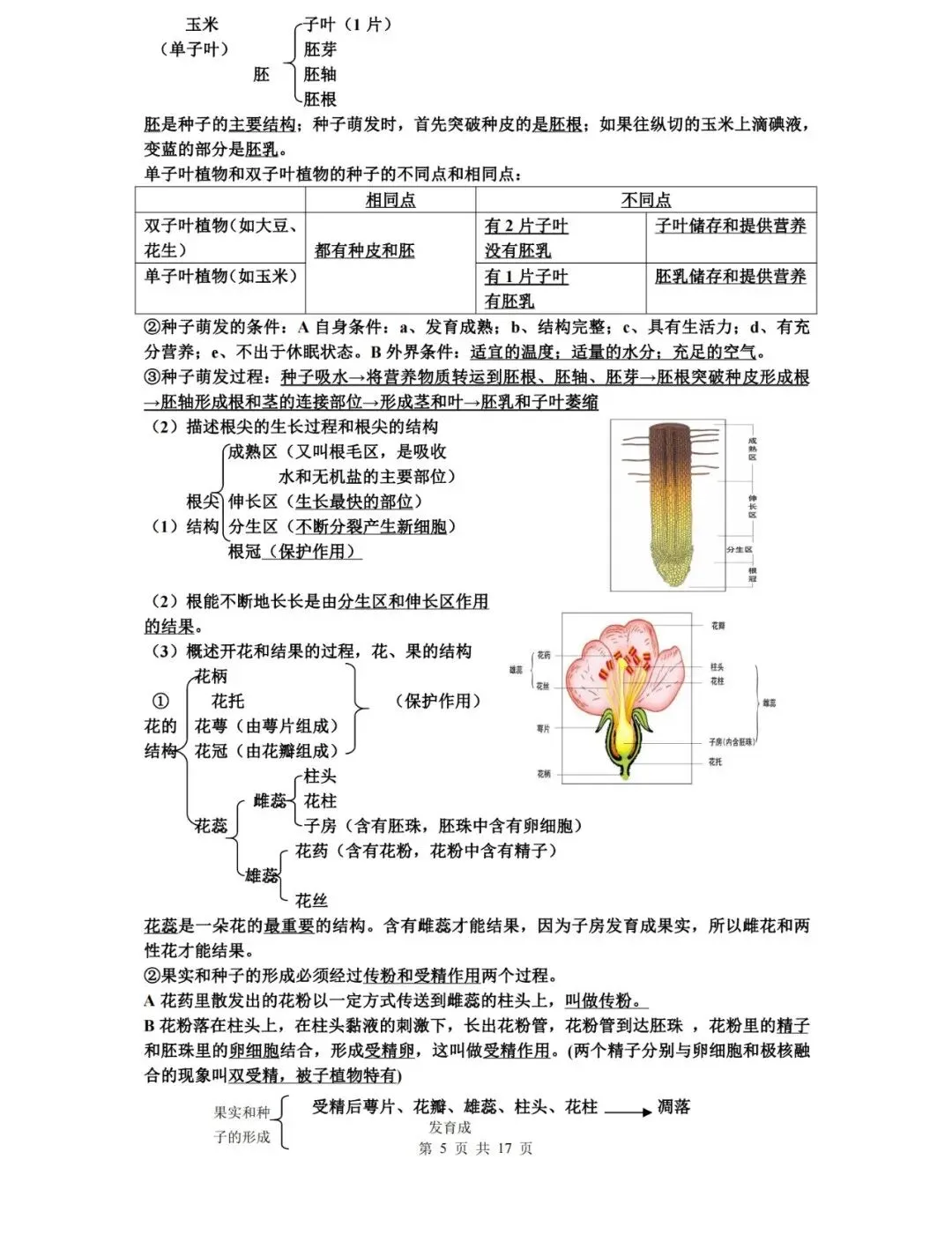 【中考生物】生物中考知识点总结,高分必备! 第5张 【中考生物】生物中考知识点总结,高分必备! 第5张