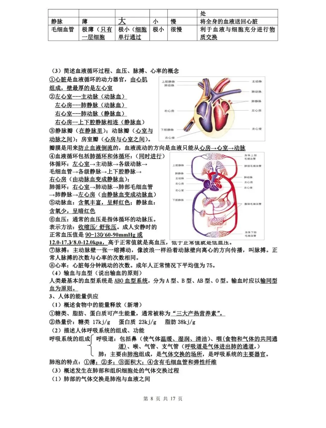 【中考生物】生物中考知识点总结,高分必备! 第8张 【中考生物】生物中考知识点总结,高分必备! 第8张