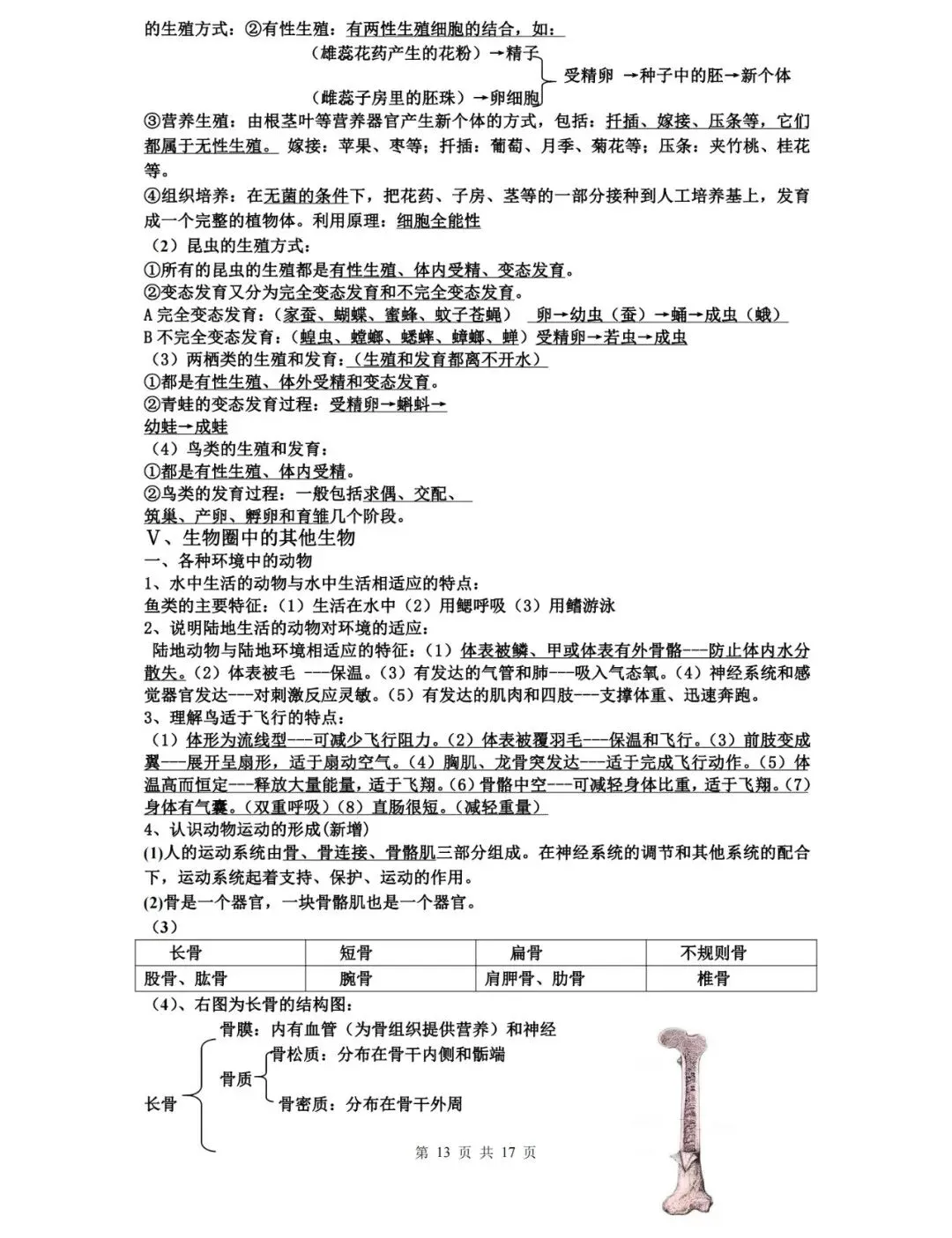 【中考生物】生物中考知识点总结,高分必备! 第13张 【中考生物】生物中考知识点总结,高分必备! 第13张