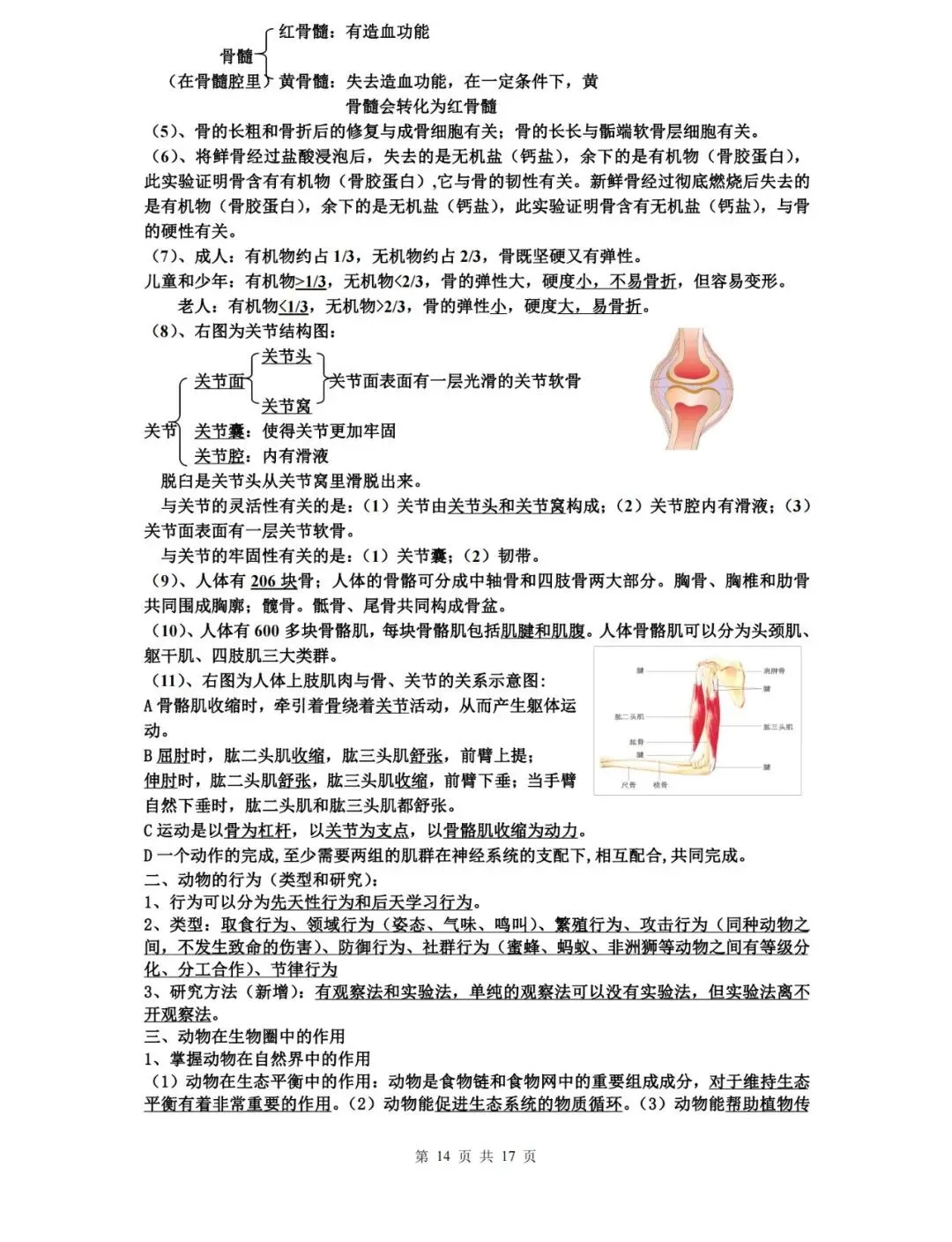 【中考生物】生物中考知识点总结,高分必备! 第14张 【中考生物】生物中考知识点总结,高分必备! 第14张