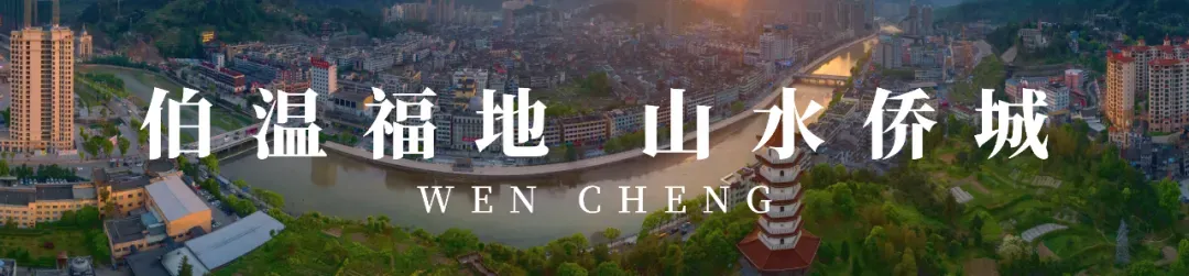 文成中考政策加分事项,即将办理! 第2张