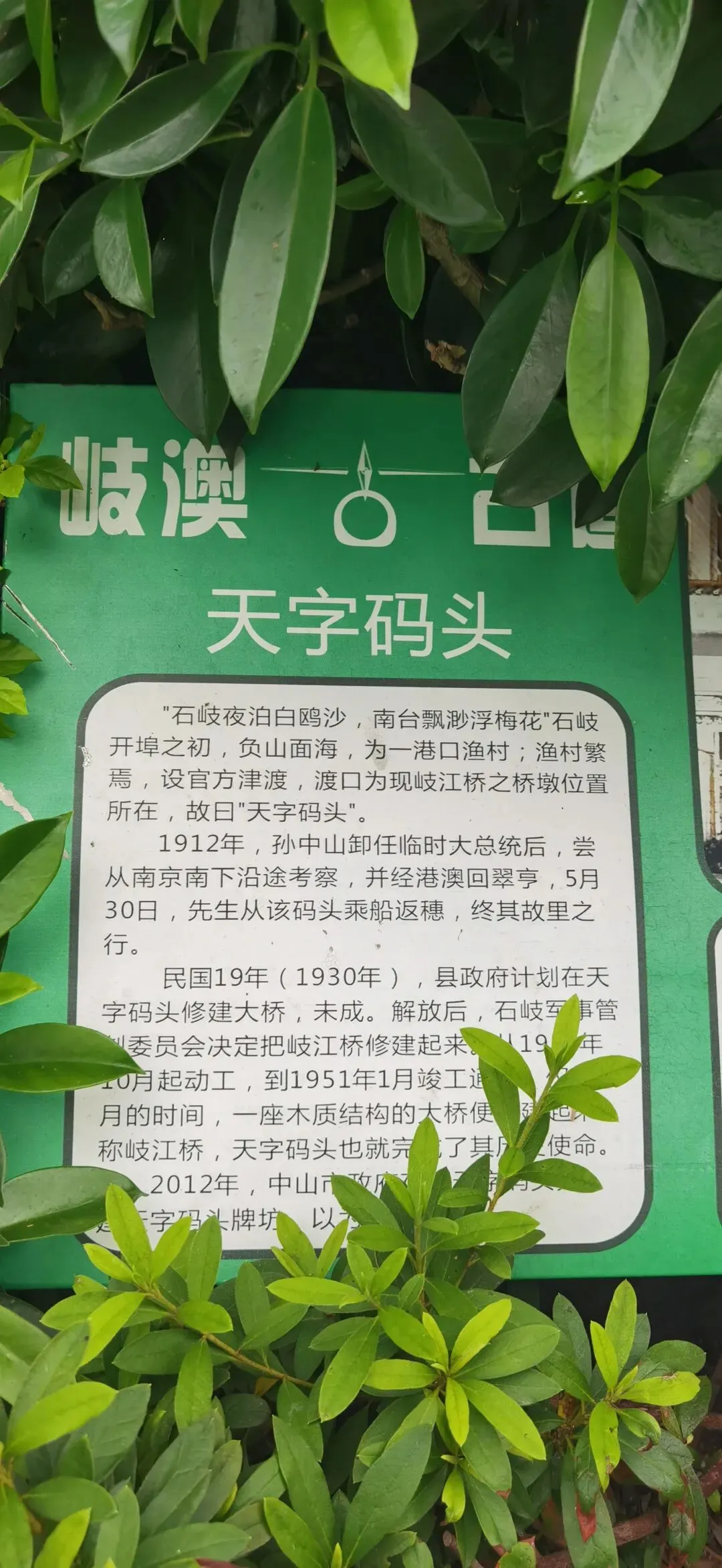 登央视+上试卷!这条熟悉的中山老街,藏着千年文脉与成长记忆 第9张