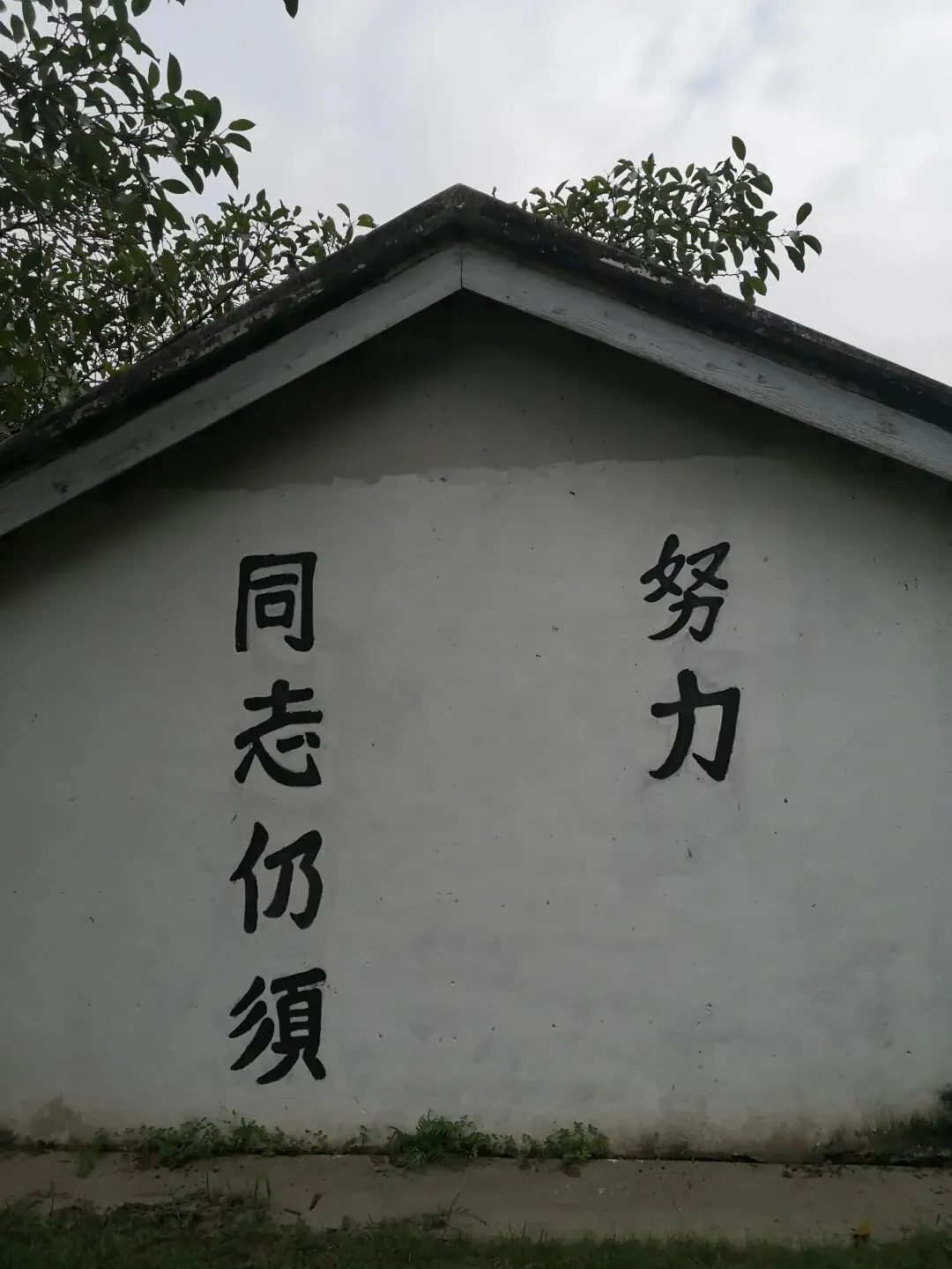 登央视+上试卷!这条熟悉的中山老街,藏着千年文脉与成长记忆 第13张