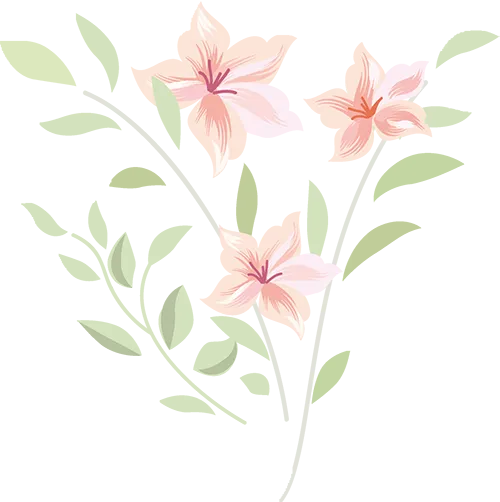 中考冲刺季:这份暑假规划,决定孩子高中三年起点! 第15张