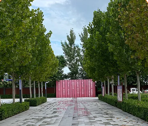 中考冲刺季:这份暑假规划,决定孩子高中三年起点! 第21张