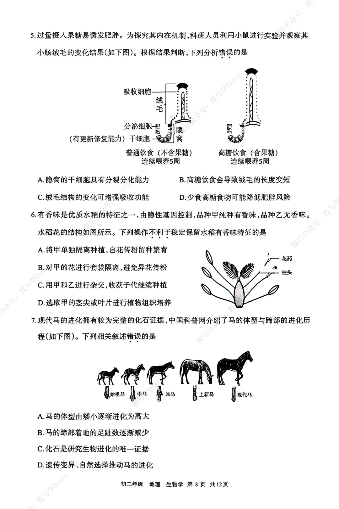 26年呼和浩特市地生一模考试真题及答案 第9张 26年呼和浩特市地生一模考试真题及答案 第9张