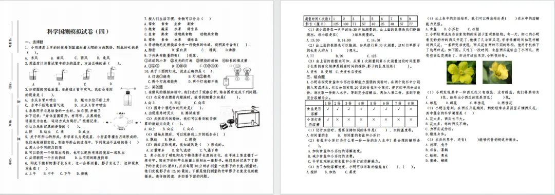 直接下载 | 2025小学科学国测模拟试卷四 第1张