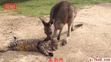 2026湖南军转考试模拟题(一)参考答案 第3张