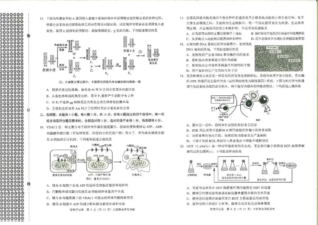 大连一模真题 | 2026年大连市高三综合模拟考试全科试卷 第29张