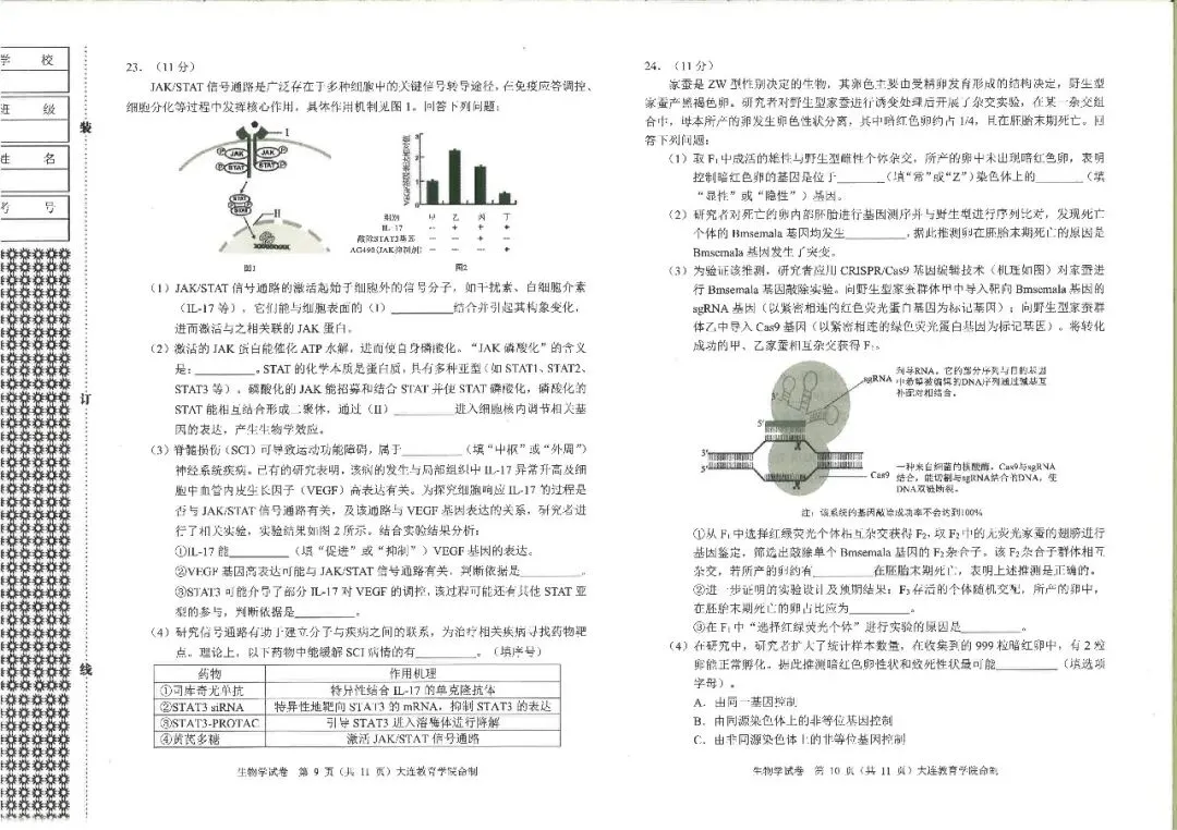 大连一模真题 | 2026年大连市高三综合模拟考试全科试卷 第31张