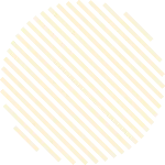 2026届初三体育中考考前温馨提示 第3张