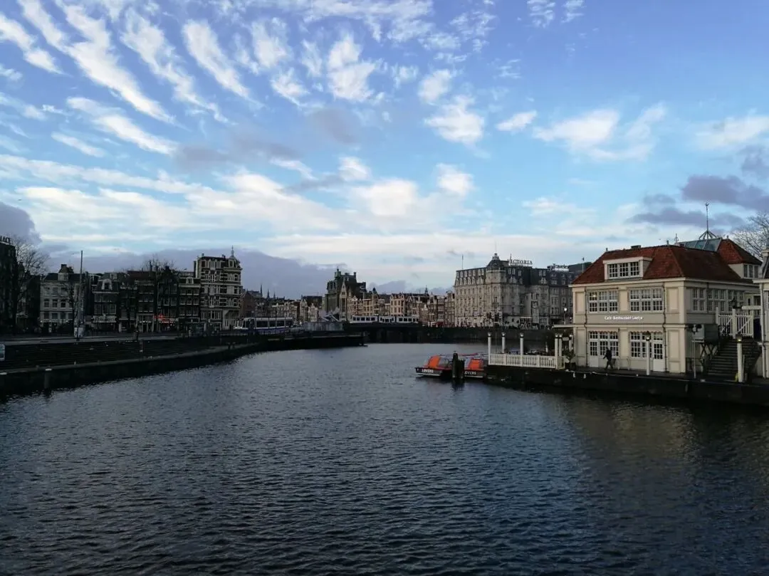 美国小孩的绘本词汇,正在托福真题里考你 第4张