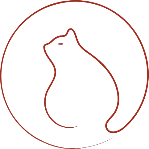 中考英语人机对话的考场致命坑! 第3张