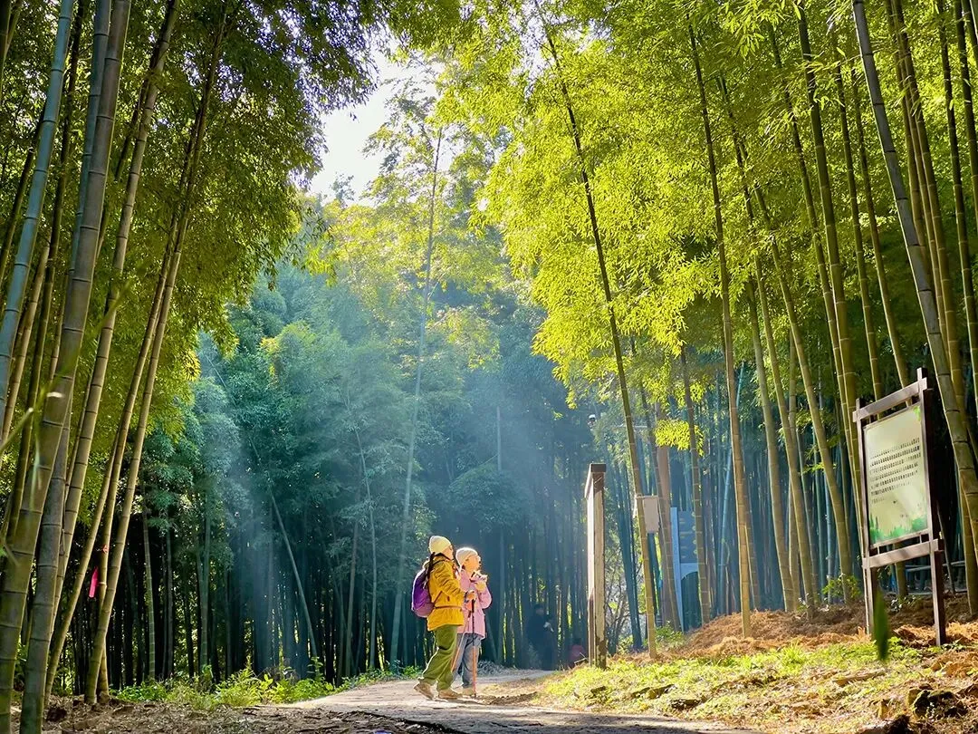 2026中考数学|吃透8大核心模块,中档题稳拿分,高分不跑偏 第7张 2026中考数学|吃透8大核心模块,中档题稳拿分,高分不跑偏 第7张