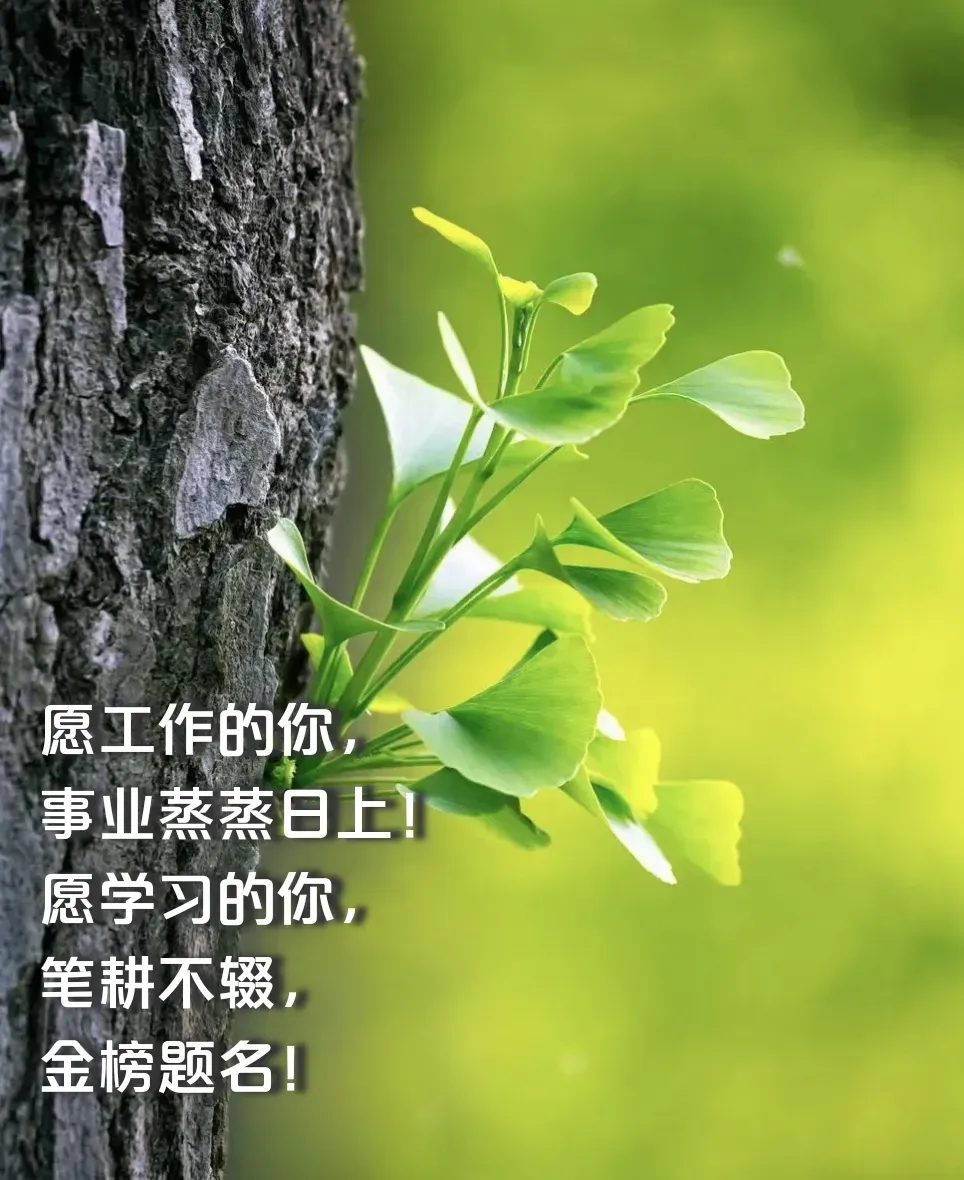 中考数学20类动点最值模型全解析(文末彩蛋见到即缘分:模型大综合、模型全归纳、模型专题训练……)免费分享 第18张