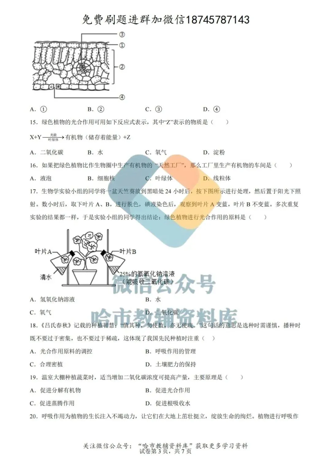 2026德强中学七年级下生物4月月考试卷及答案 第4张