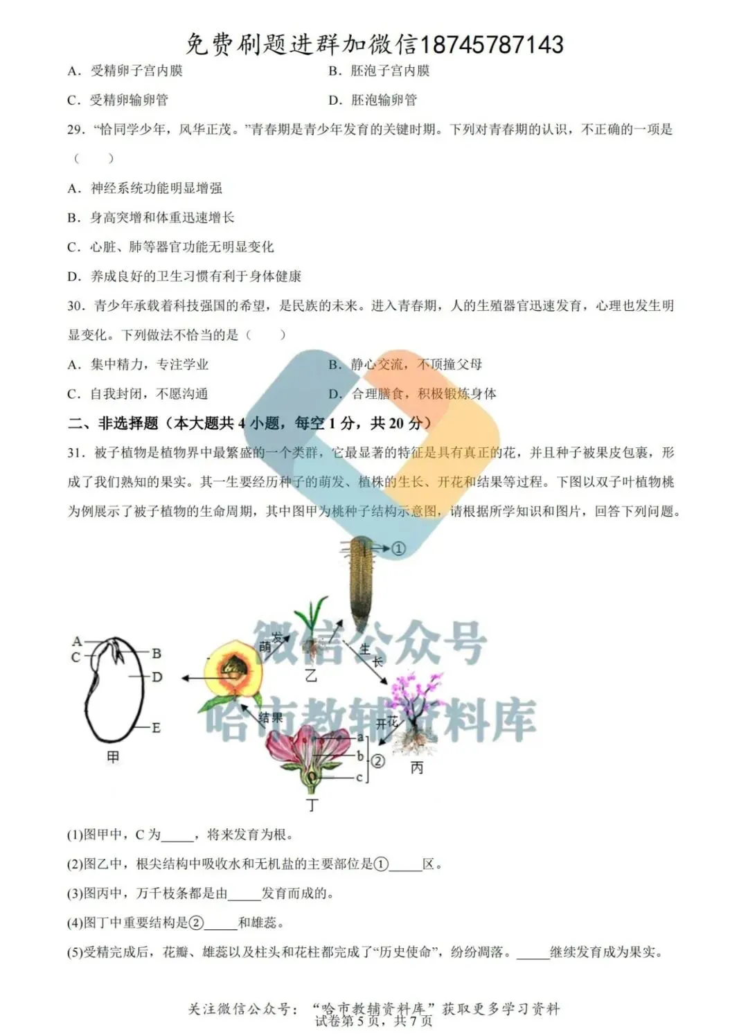 2026德强中学七年级下生物4月月考试卷及答案 第6张