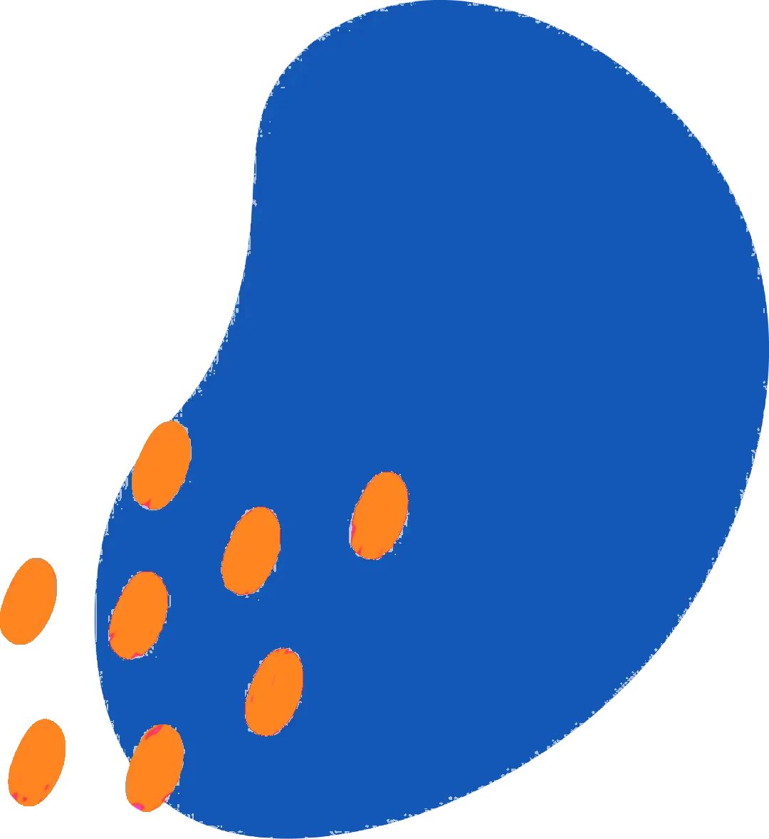 辅仁教育公益行动|中考志愿填报专场,付昱老师手把手教你填! 第2张