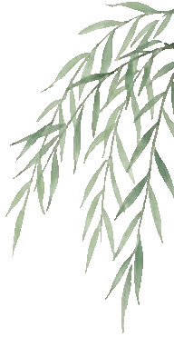 精研真题明方向,聚力二轮启新程 ——我校承办浠水县2026年数学学科说高考试题比赛暨高三二轮复习研讨会 第14张