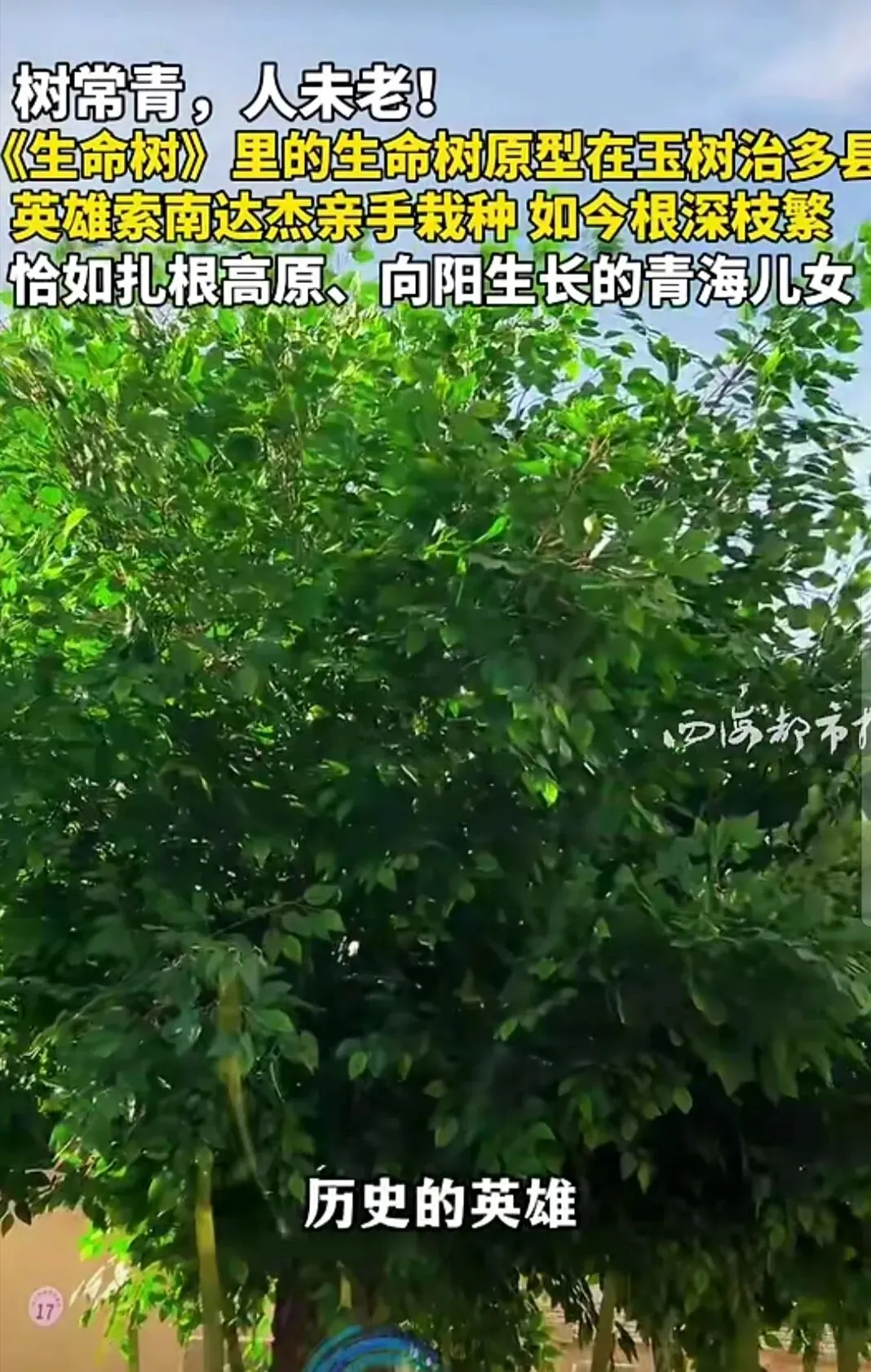 中考作文热点:生态环保类作文如何写? 第1张