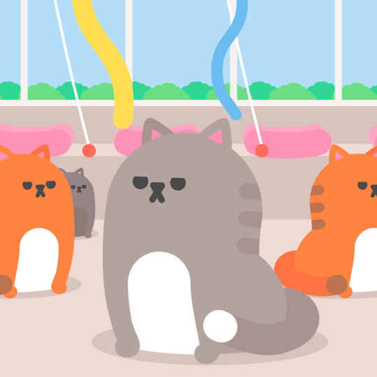 上海中考14万人创新高!这个外地普娃杀进上海IB名校,我才看懂国际高中的残酷规则… 第12张 上海中考14万人创新高!这个外地普娃杀进上海IB名校,我才看懂国际高中的残酷规则… 第12张