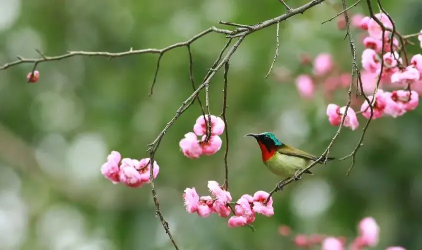 山东省2026年初中学业水平模拟考试 第11张