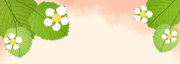 深圳中考各批次录取分数线全汇总 第1张 深圳中考各批次录取分数线全汇总 第1张