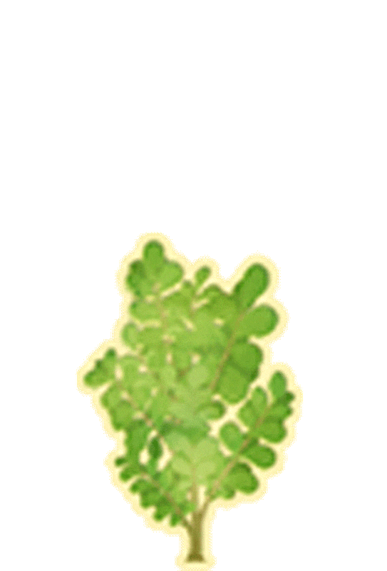 26重庆康德二诊英语试卷翻译+详细解析含听力音频原文含词汇 第12张