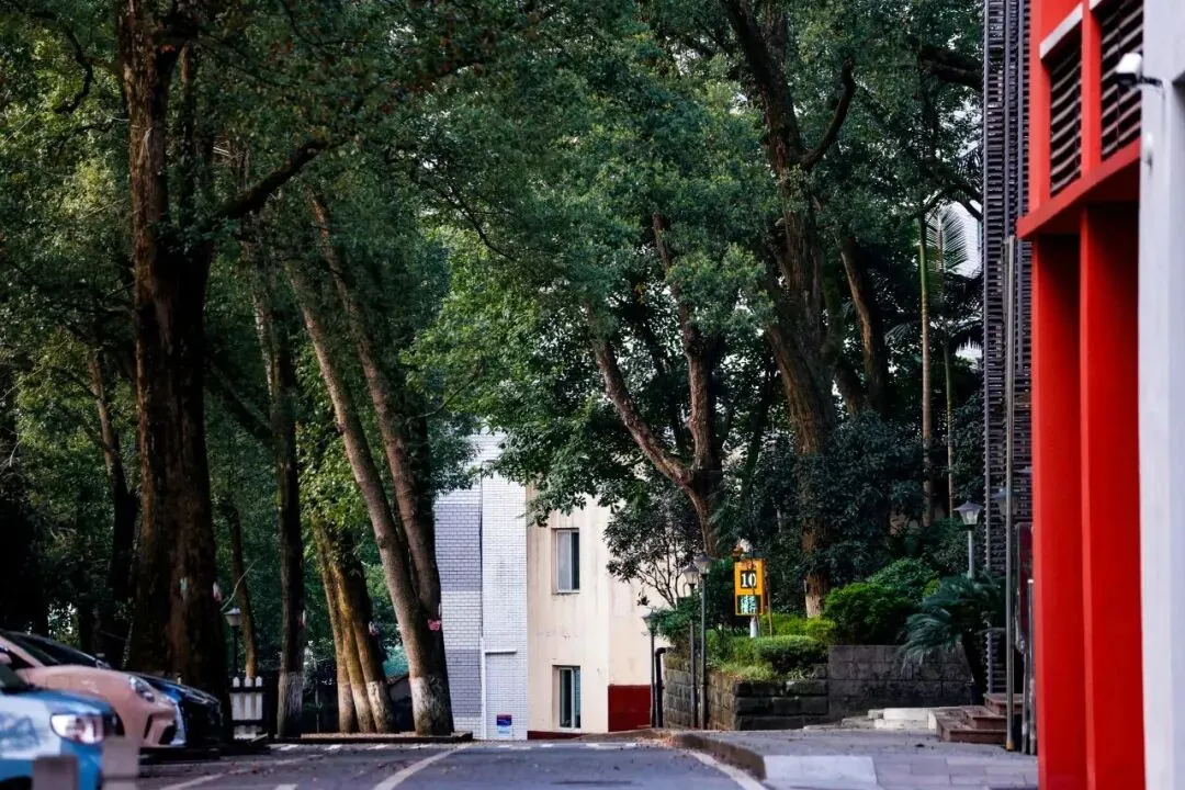 中考640进去、高考90%上重本?重庆这所学校做到了 第17张