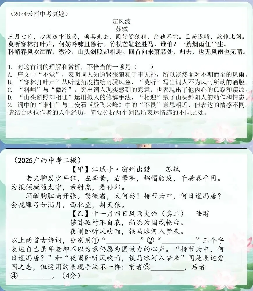 中考苏轼诗文整合复习 遇见苏东坡(课件+教学设计) 第13张