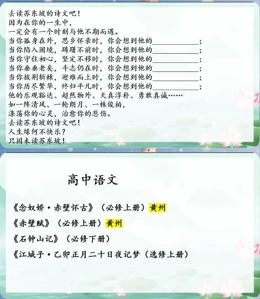 中考苏轼诗文整合复习 遇见苏东坡(课件+教学设计) 第16张