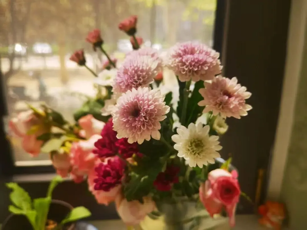 中考体考真相:比训练更重要的,是学会保护自己! 第1张