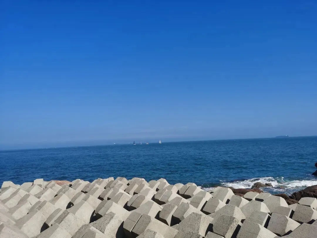 直击中考|标题怎么起?悬念怎么设?素材怎么攒?一篇中考阅读原文全讲透 第3张 直击中考|标题怎么起?悬念怎么设?素材怎么攒?一篇中考阅读原文全讲透 第3张