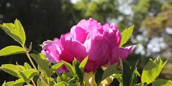 @考生 大同市中考理化生实验操作考试5月16日开考 第15张