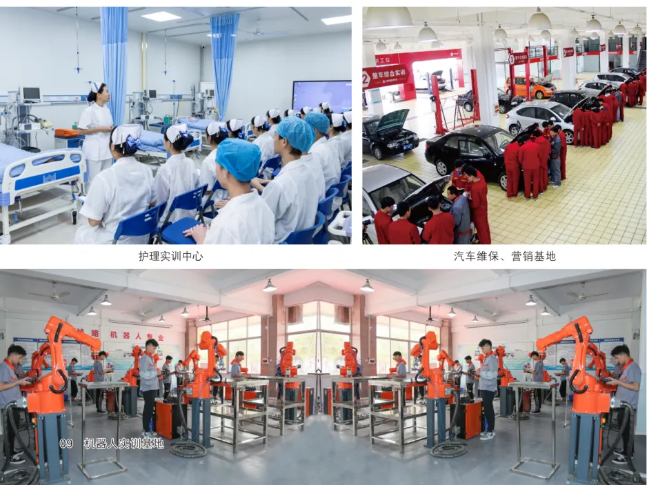 2026年佛山中考直逼10万人!公办普高录取率仅46%,如何提前“保底”? 第10张