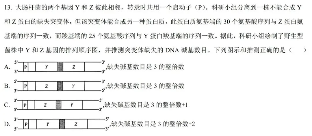 【安徽省份】2025年高考生物基因工程真题讲解 第4张 【安徽省份】2025年高考生物基因工程真题讲解 第4张
