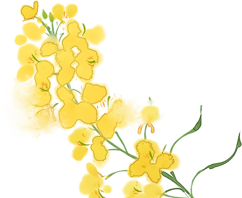 中医润心,减压护航——九年级3班解锁中考备考“减压新方式” 第4张