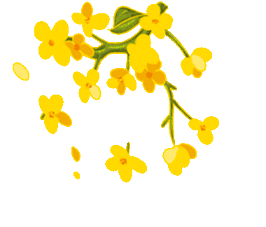 中医润心,减压护航——九年级3班解锁中考备考“减压新方式” 第10张