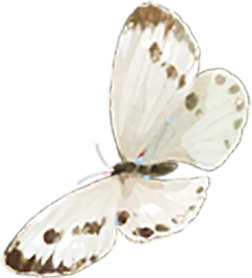 中医润心,减压护航——九年级3班解锁中考备考“减压新方式” 第11张