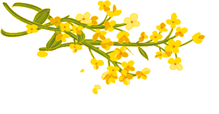 中医润心,减压护航——九年级3班解锁中考备考“减压新方式” 第13张