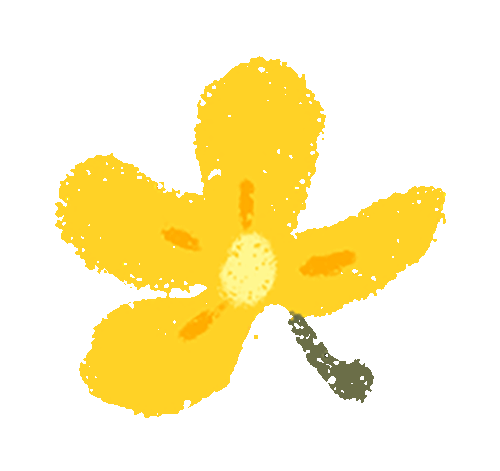 中医润心,减压护航——九年级3班解锁中考备考“减压新方式” 第14张