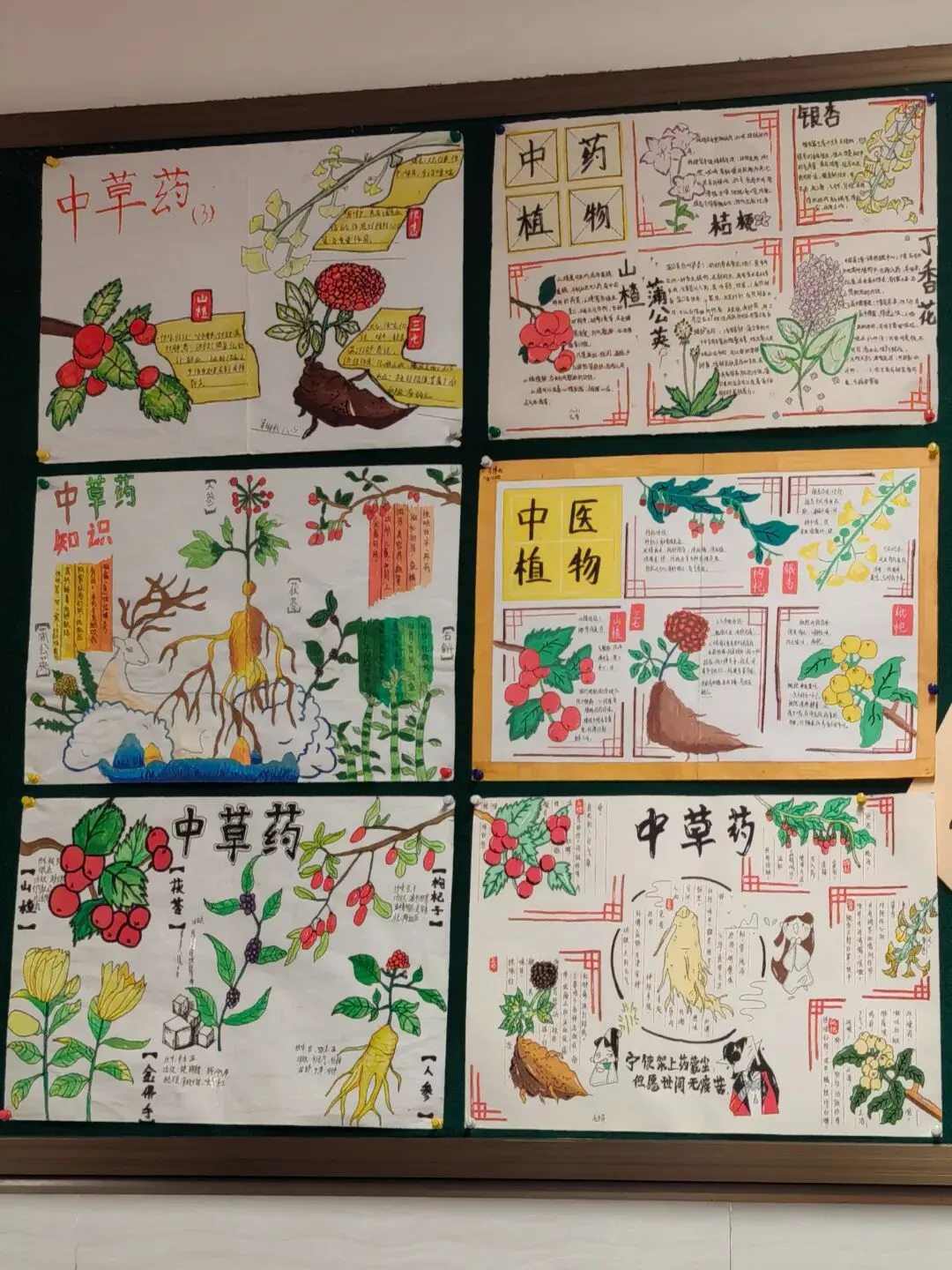 中医润心,减压护航——九年级3班解锁中考备考“减压新方式” 第25张