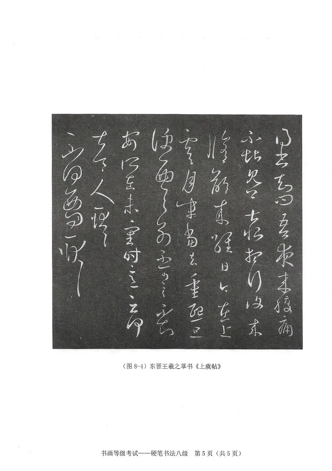 书法考级真题:2025年11月CCPT硬笔书法8级真题试卷(含答题卡、备考资料) 第8张
