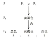 生物试卷+答案|高一下学期期中考试河南濮阳联考 第1张