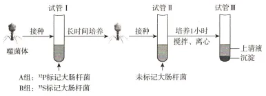 生物试卷+答案|高一下学期期中考试河南濮阳联考 第6张