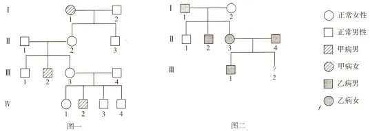 生物试卷+答案|高一下学期期中考试河南濮阳联考 第7张