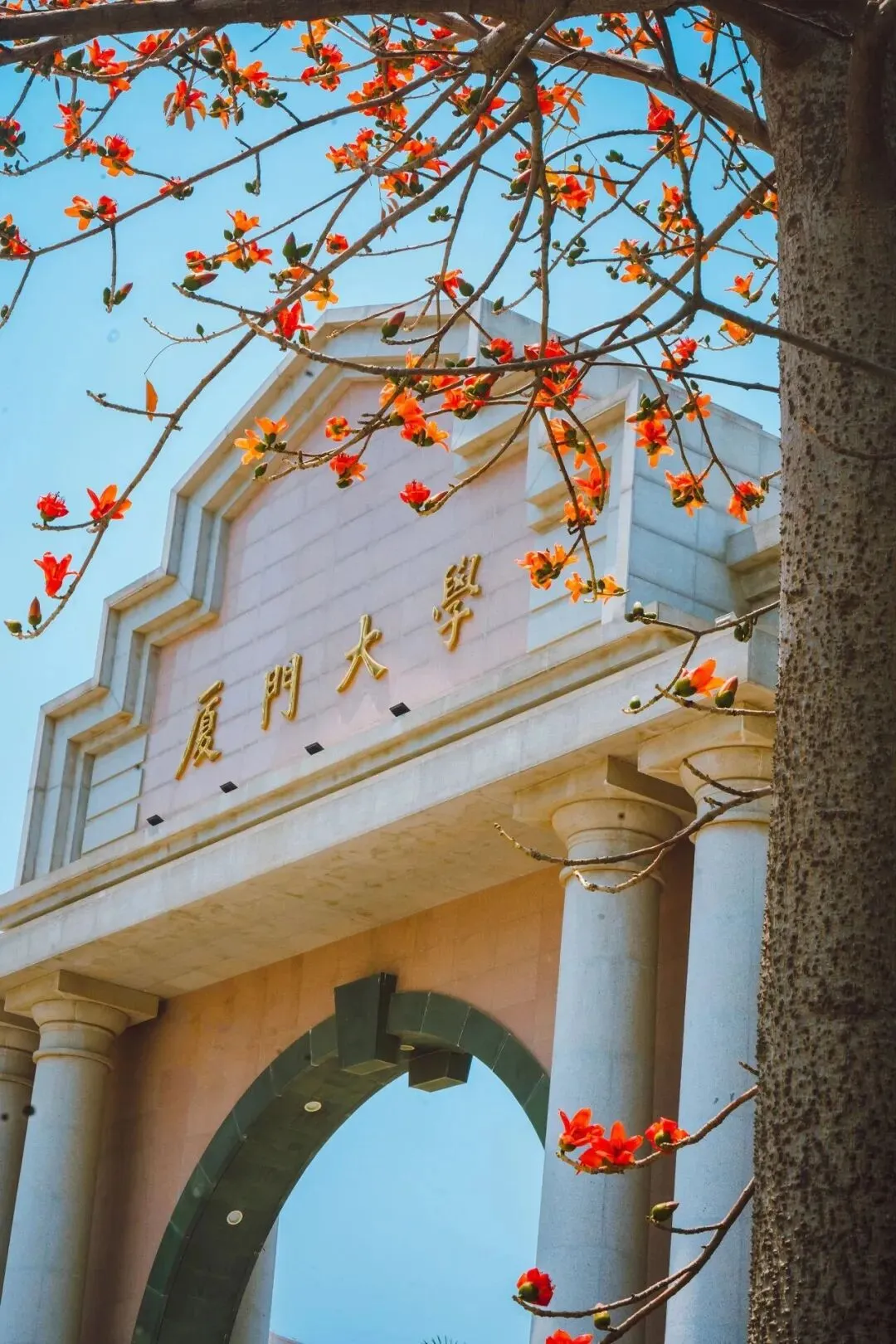 厦大木棉红似火,中考新政暖人心!四月厦门,一半是青春,一半是希望 第1张