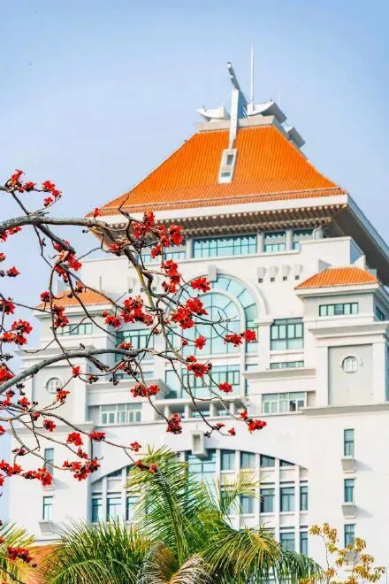 厦大木棉红似火,中考新政暖人心!四月厦门,一半是青春,一半是希望 第2张