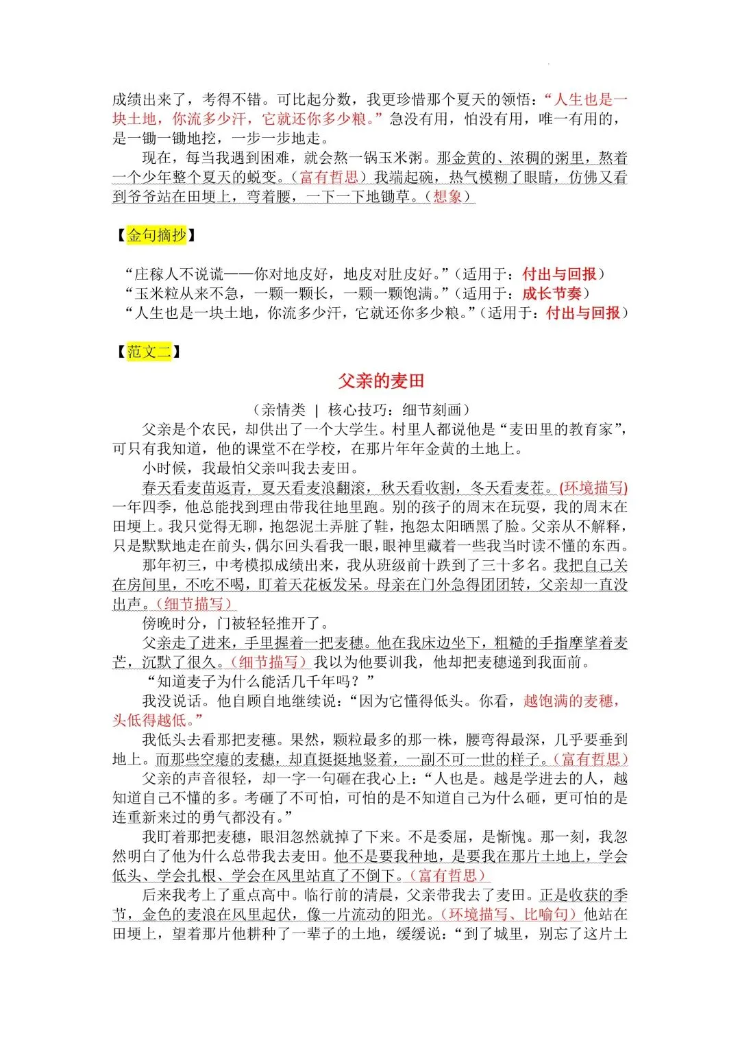 中考作文写作指导与高分范文技法点拨 第3张