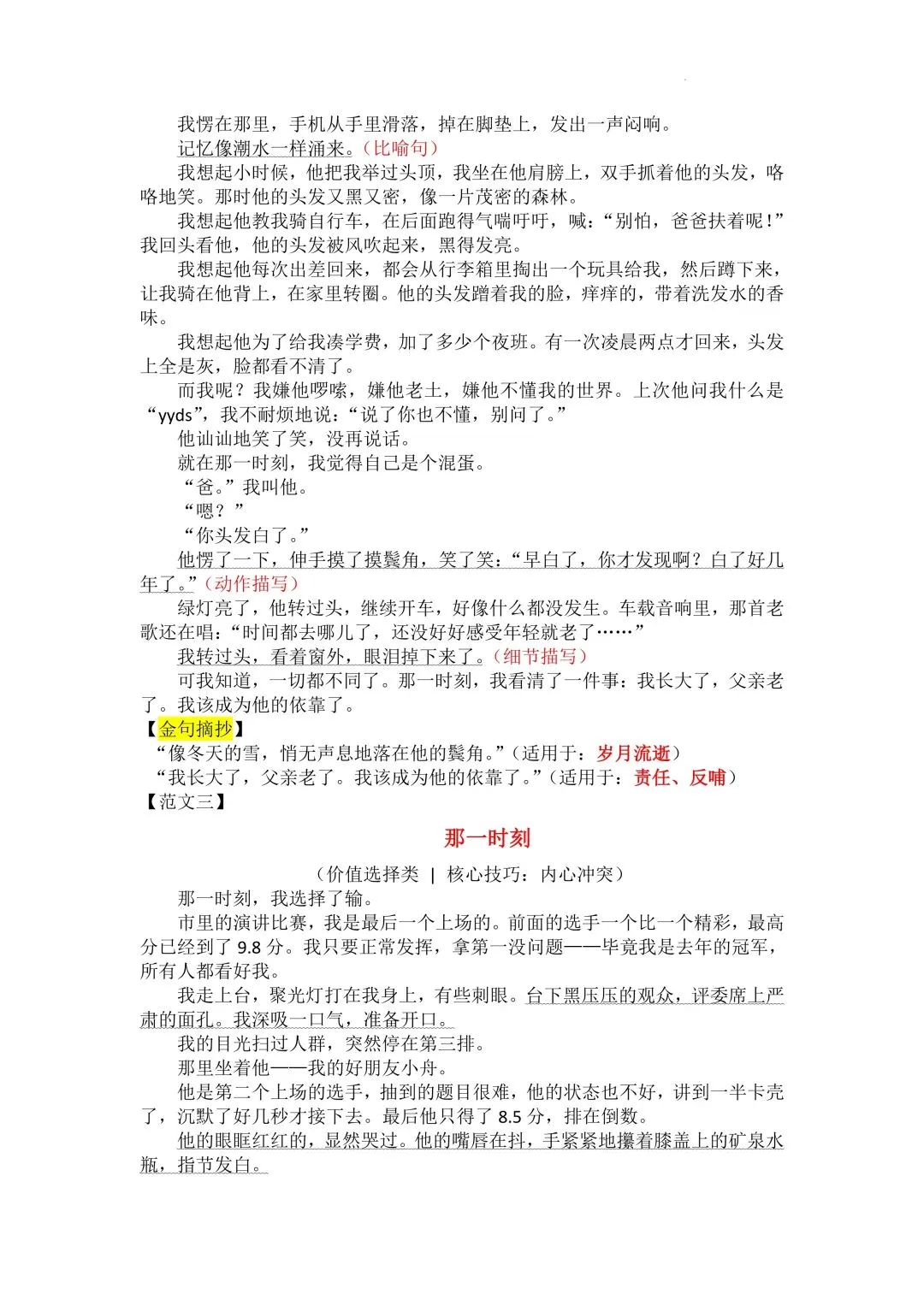 中考作文写作指导与高分范文技法点拨 第10张